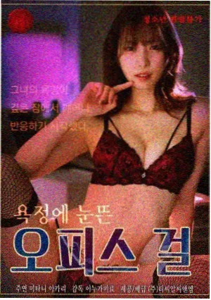 十七楼的秘密剧集海报
