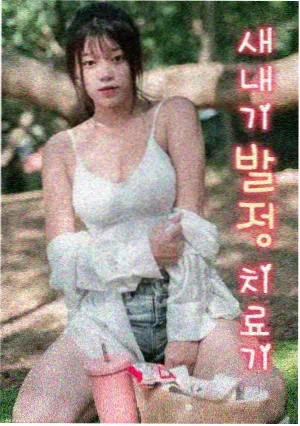半城烟雨剧集海报
